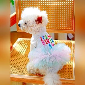 New birthday girl pet dress